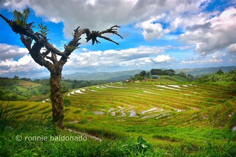 Codcod, San Carlos, Negros Occidental Profile – PhilAtlas.